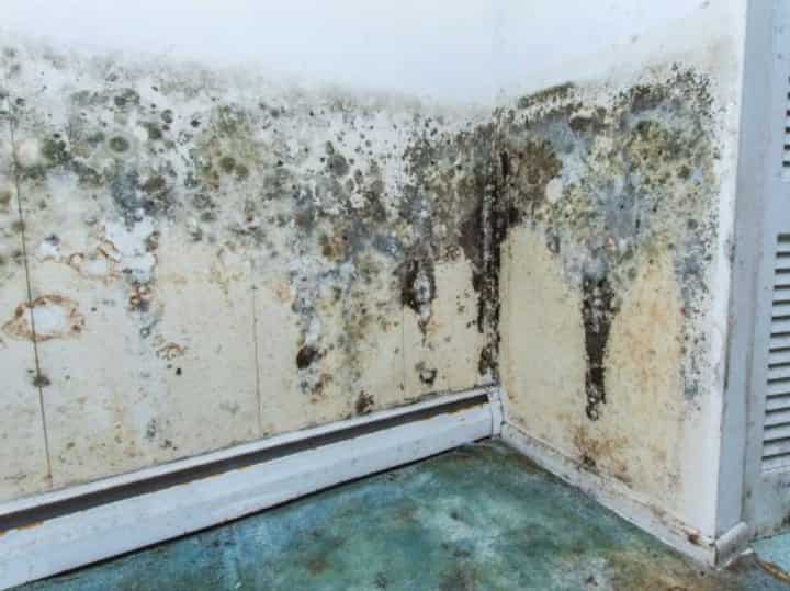 Water Damage Los Angeles 3 water damage ann arbor; don't ignore water damage problems